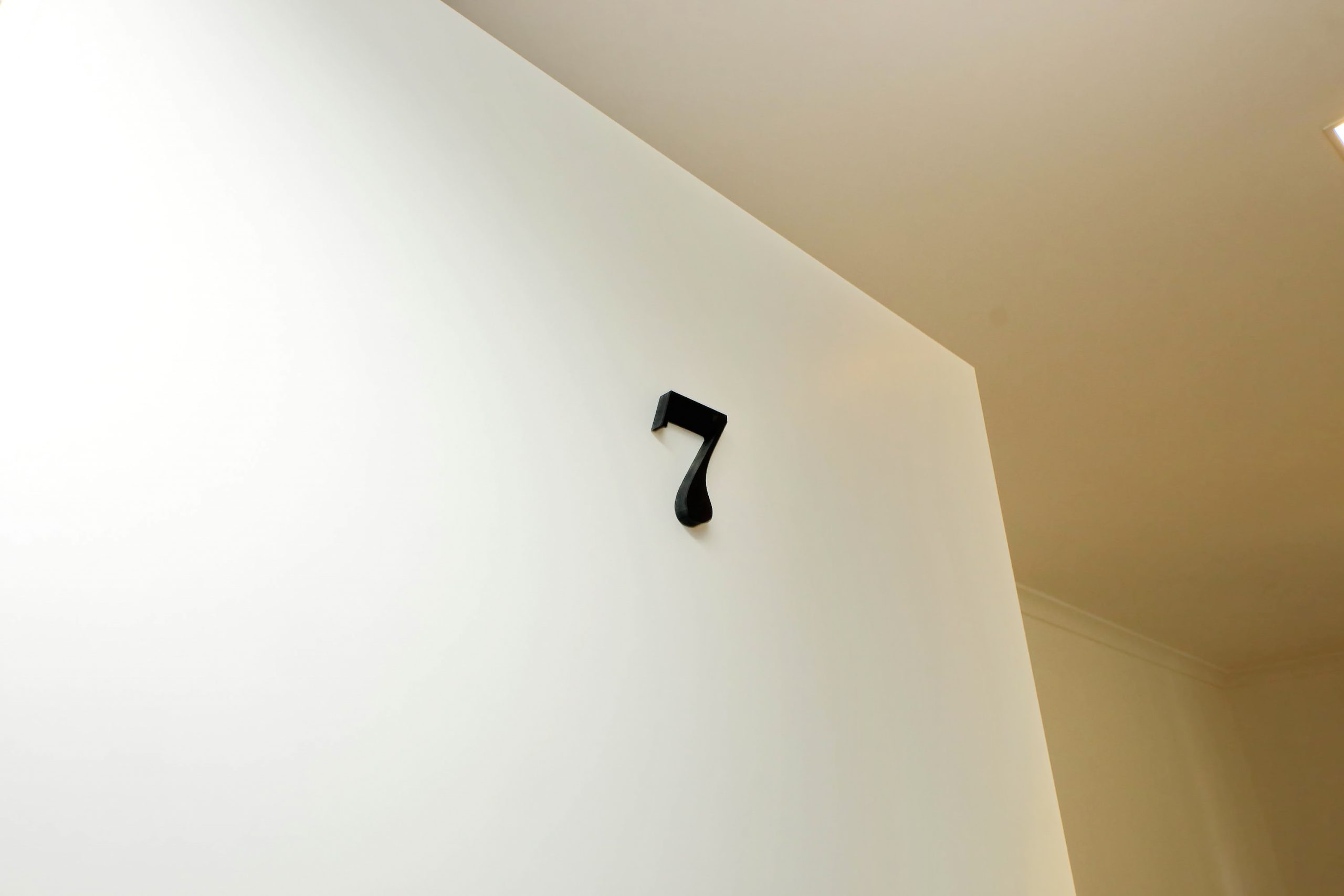 <b>TOP FLOOR WITH TERRACE </b>